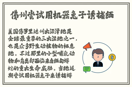 jk裙子全开襟做运动